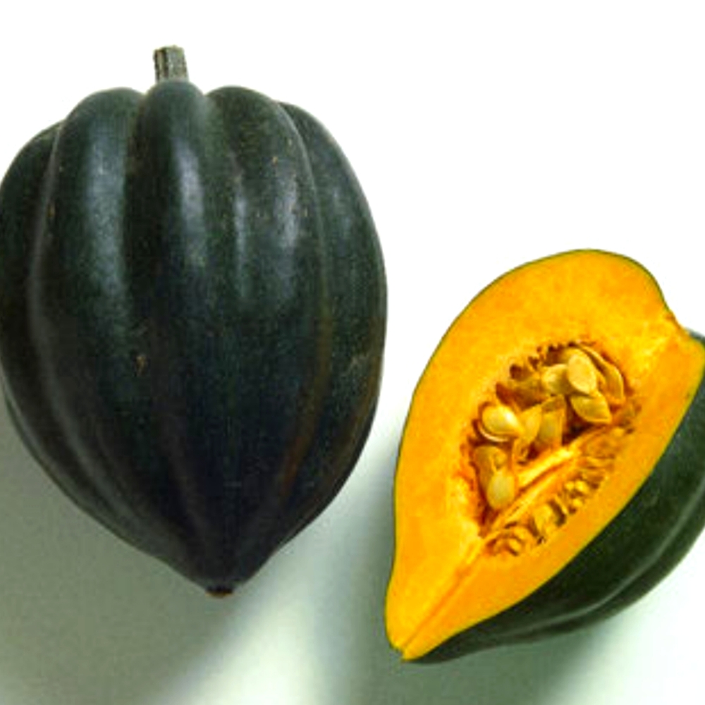 Acorn Squash Seeds
